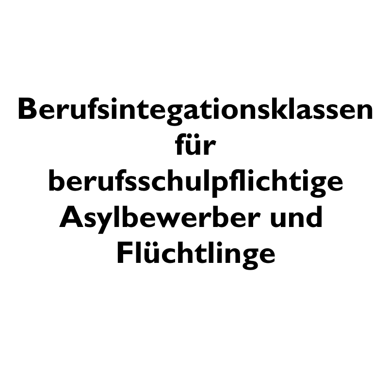 Berufsintegrationsklassen